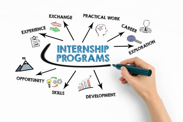 NLIT internship and training support